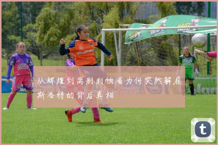 从辉煌到离别利物浦为何突然解雇斯洛特的背后真相