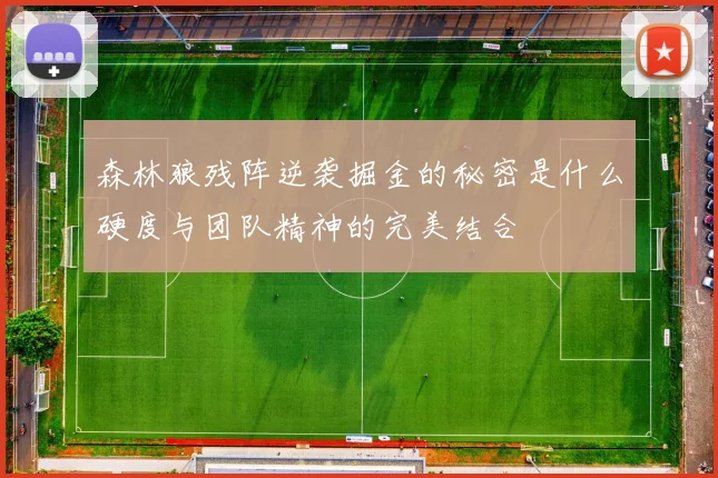 森林狼残阵逆袭掘金的秘密是什么硬度与团队精神的完美结合